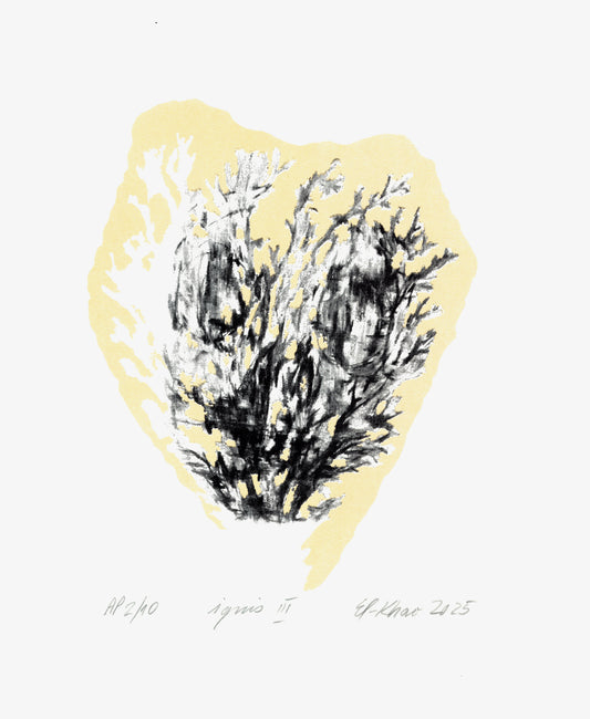 IGNIS III